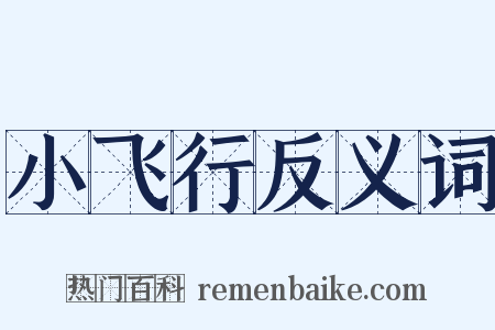 小飞行反义词是什么意思的图片